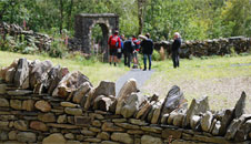 Mrs Johnes walled garden