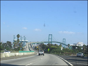 شيوا اميرحسينی