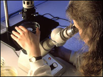 研究人员用显微镜