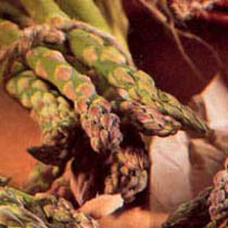 Asparagus
