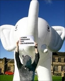 Inflatable white elephant 