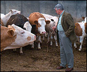 Tony Beard - down on the farm