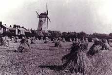 Marsh Mill in arable farm land
