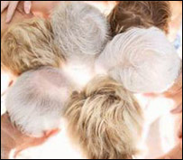 دويښتانو سپينېدل