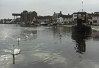 please wait for image to download. 