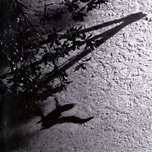 Review of The Blue Notebooks