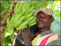 Image courtesy of Fairtrade Foundation