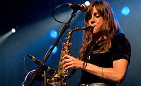 The Zutons