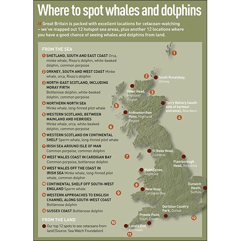 Dolphin & Wale spotting map