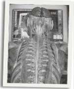 Corff wrth y cyfrifiadur