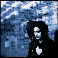 Review of Blunderbuss Review of Blunderbuss