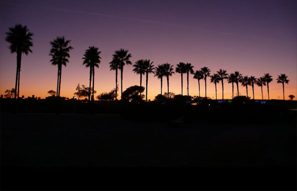 Photo by Victoria Walsh