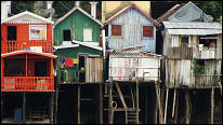 Houses in Manaus