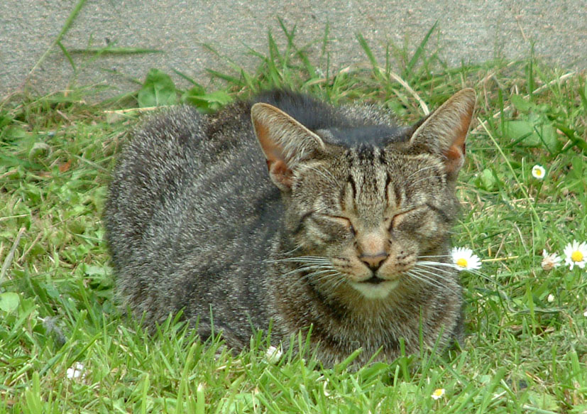 Taken a couple of weeks ago.