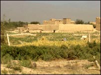 خوراکه های حيوانی