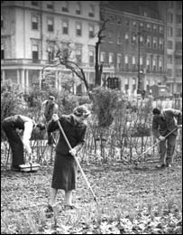 二战时的垦荒运动