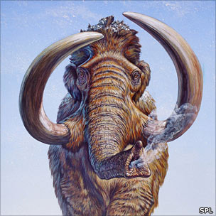 Woolly mammoth