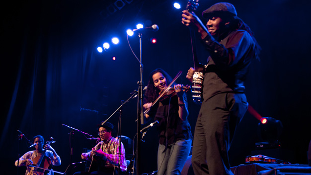 Carolina Chocolate Drops.
