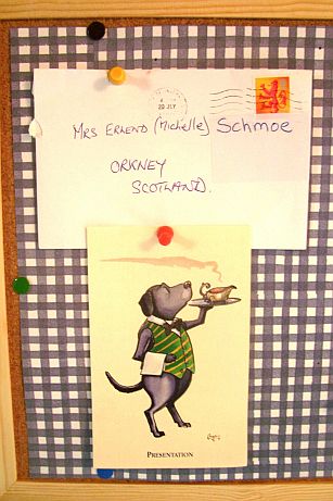 HOW did this manage to find me??