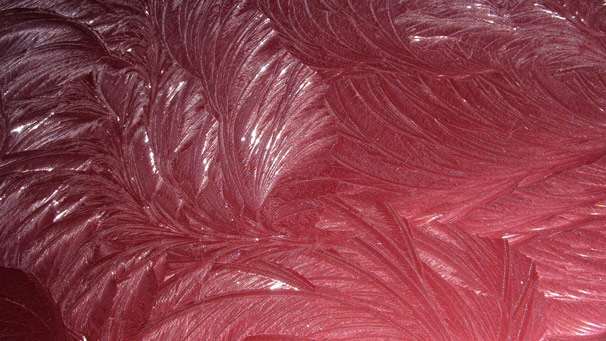 A pattern of feathered fost on a red car