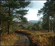 The climb up to the top of the common