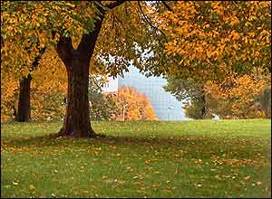 عکس از محسن گيتی نورد