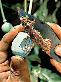 منع اعتياد در روستاها