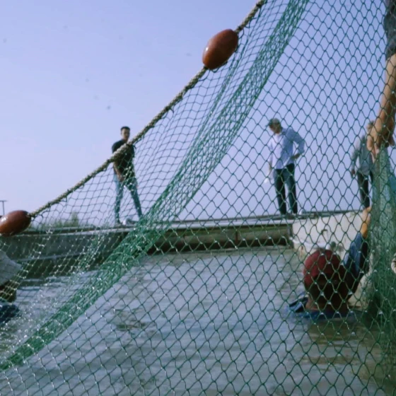 View of two men on a bridge through a fishing net.
